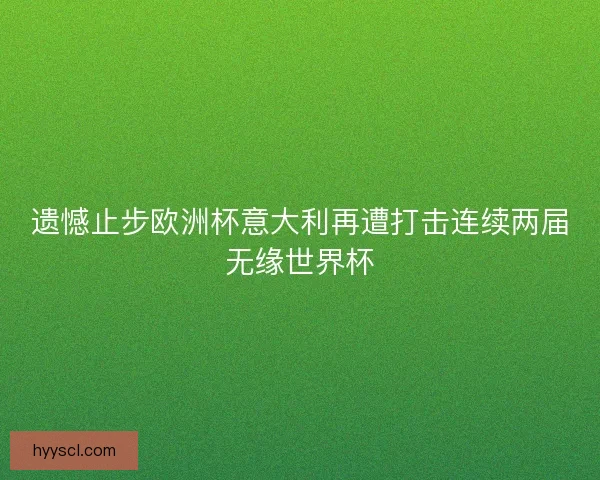 遗憾止步欧洲杯意大利再遭打击连续两届无缘世界杯